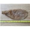 Image 1 : fur pelt-15"L