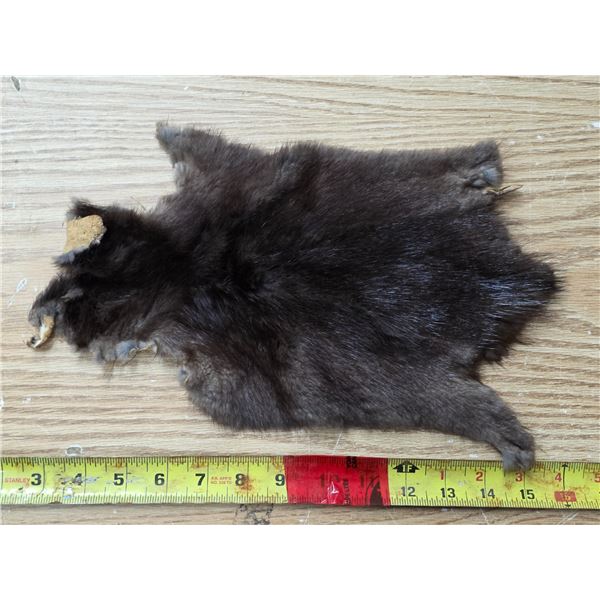Animal pelt- 14"L