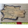 Image 2 : Animal pelt- 14"L