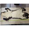 Image 2 : Wolverine pelt- 48"L