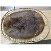Image 1 : Hudson bay beaver pelt- Authentic