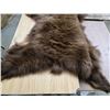 Image 3 : Brown bear pelt- 60"L