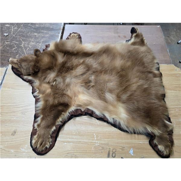 Bear skin rug- 50"L