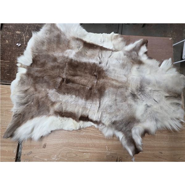 Reindeer pelt- 65"L