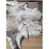 Image 2 : Reindeer pelt- 65"L