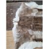 Image 3 : Reindeer pelt- 65"L