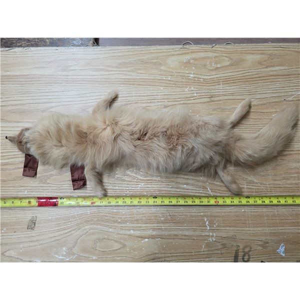 Animal pelt with added eyes and ribbons- 40"L