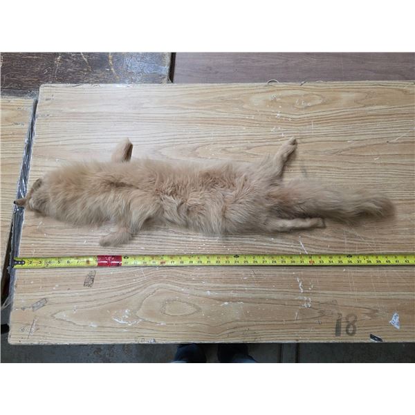 Animal pelt with added eyes and ribbons- 40"L