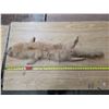 Image 1 : Animal pelt with added eyes and ribbons- 40"L