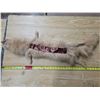 Image 3 : Animal pelt with added eyes and ribbons- 40"L