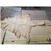 Image 2 : Animal hide pelt- 70"L