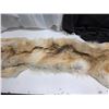 Image 4 : Arctic wolf pelt- 65"L