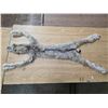 Image 1 : Lynx/bob cat pelt- 36'L