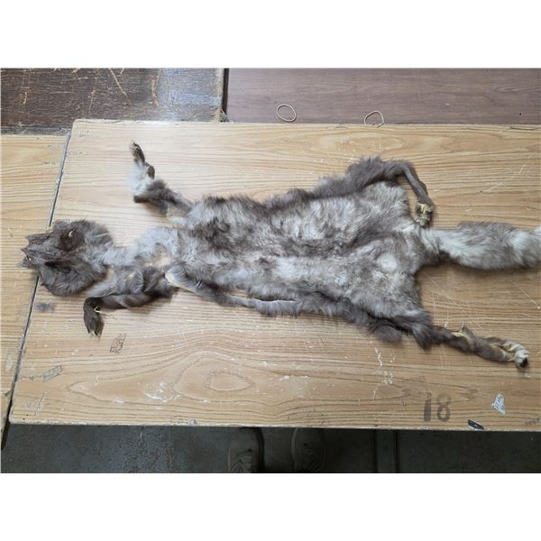 Animal pelt- 48"L