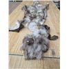 Image 2 : Animal pelt- 48"L