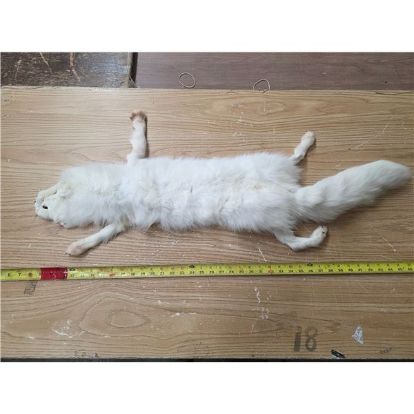 White fox pelt- 36"L