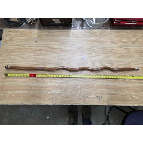 Walking stick with eye