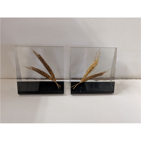 (2) Clear Mount, Made in Canada, Clear Grain in Block Book ends