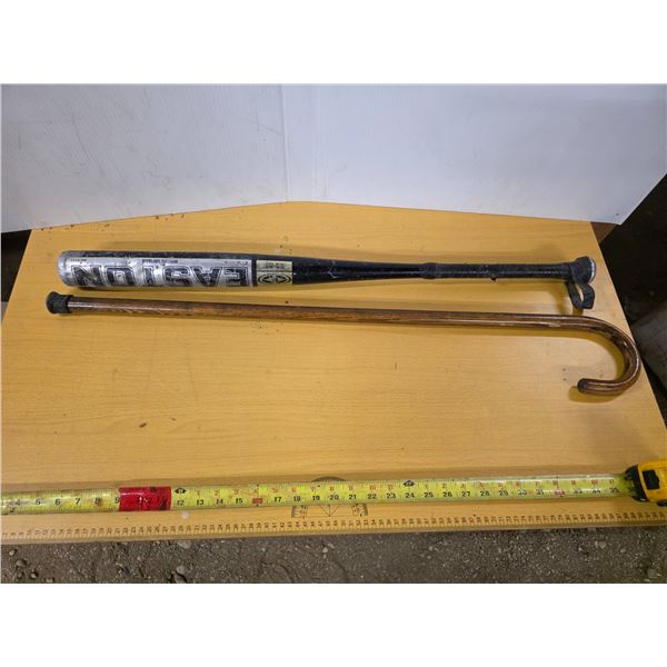 Baseball bat and cane