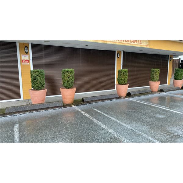 PENTAGON SECURITY METAL ROLL SHUTTER SYSTEM - APPROX. 204" ACROSS X 107" HIGH