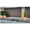 Image 2 : PENTAGON SECURITY METAL ROLL SHUTTER SYSTEM - APPROX. 204" ACROSS X 107" HIGH