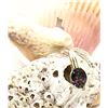 Image 8 : Large Bezel-Set Green Mystic Topaz Pendant