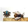 Image 1 : 34)  LOT OF 2 INSECT BROOCHES, WITH CRYSTALS