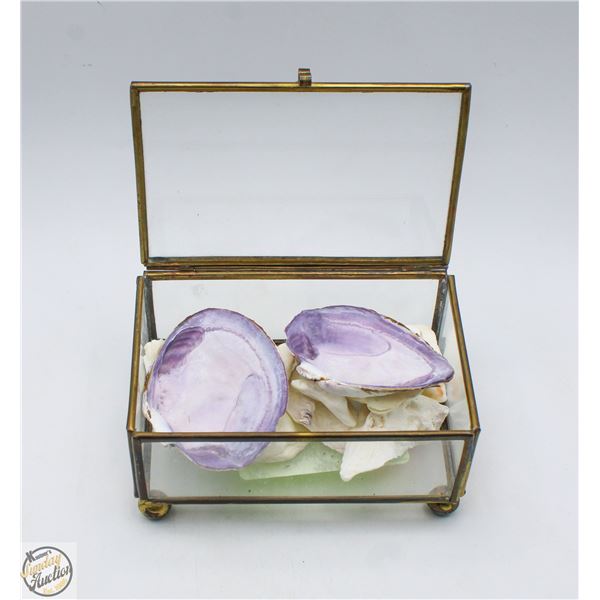 VINTAGE GLASS & BRASS JEWELRY BOX W/ CLAM SHELLS