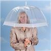 Image 1 : NEW CLEAR DOME UMBRELLA