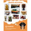 Image 1 : Online Auction