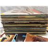 Image 3 : Vinyl Lot