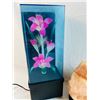 Image 5 : Home Lighting & Decor