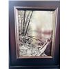 Image 3 : Framed Photograph Prints