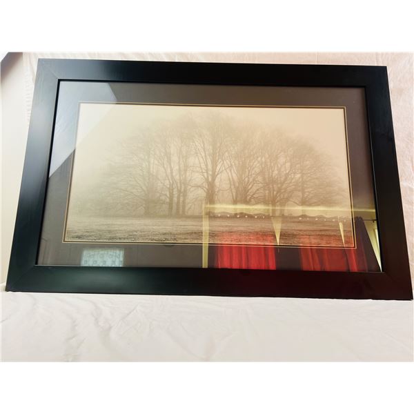 Large Framed Photograph
