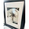 Image 4 : Monochrome Floral Art