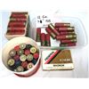 Image 1 : 12 GAUGE Lot - 60 Shells
