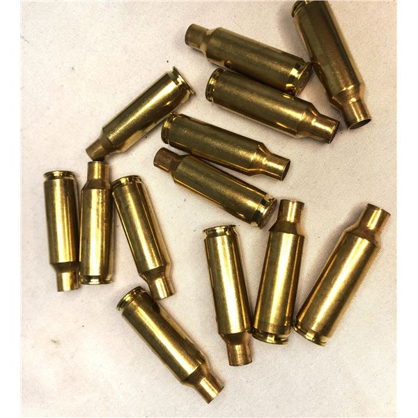 300 REM MAG Brass Lot - 13 ct.