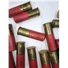 Image 2 : 12 GAUGE 3IN Magnum - 25 Shells