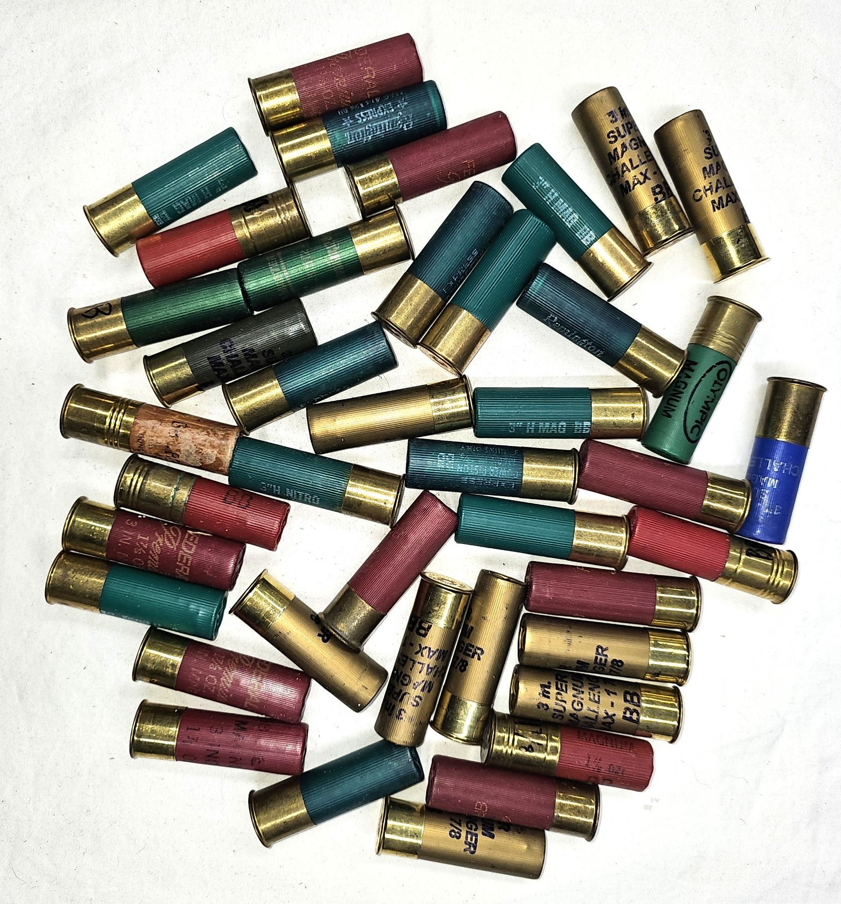 20 Inch Shell 12 GAUGE 3 Inch BB Shot Shells - 40 Shells