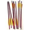 Image 1 : Crossbow Bolts x10