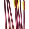 Image 2 : Crossbow Bolts x10