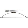 Image 1 : Barnett Quicksilver Bow w/ 2 Arrows