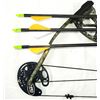 Image 4 : PSE Stinger Compound Bow w/ Apex Sights and MORE!