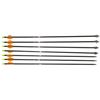 Image 1 : Lot of Arrows x7 - Radial Weave w/ Tips