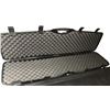 Image 3 : Gun Hard Case LOT x2 - Plano & Gun Guard