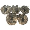 Image 1 : Water Bottle Pouches US Army MOLLE ACU x5 Surplus