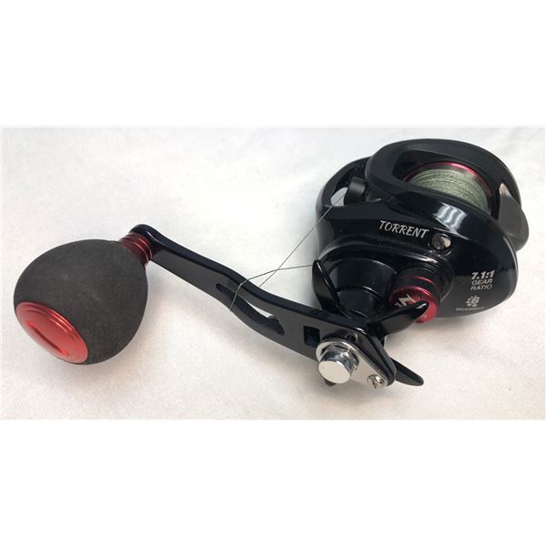 Piscifum Torrent Reel