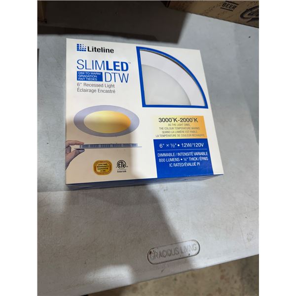 Slim LED 6 inch recessed light