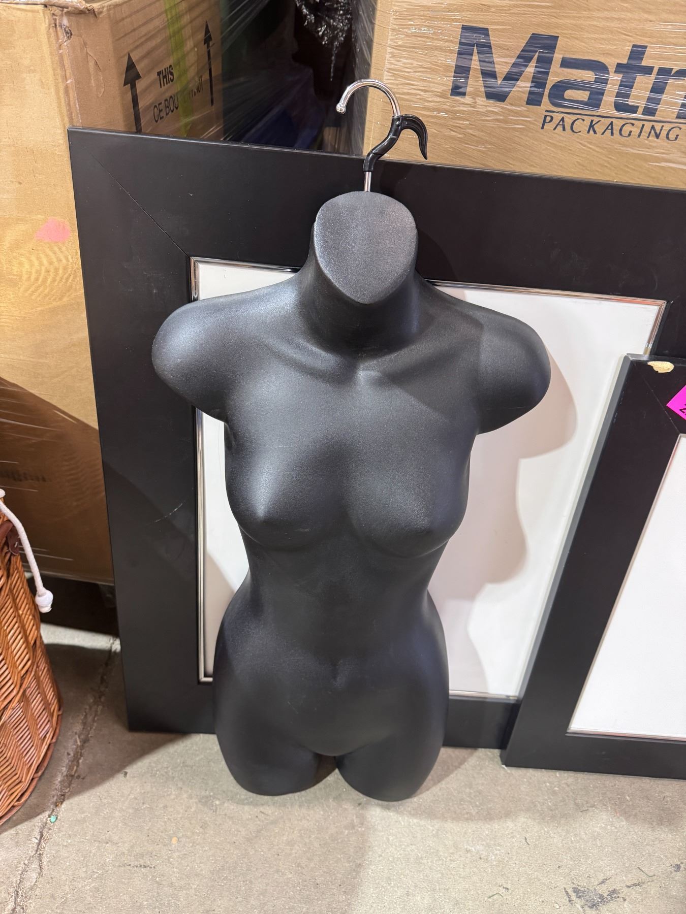 Body Displant Body display