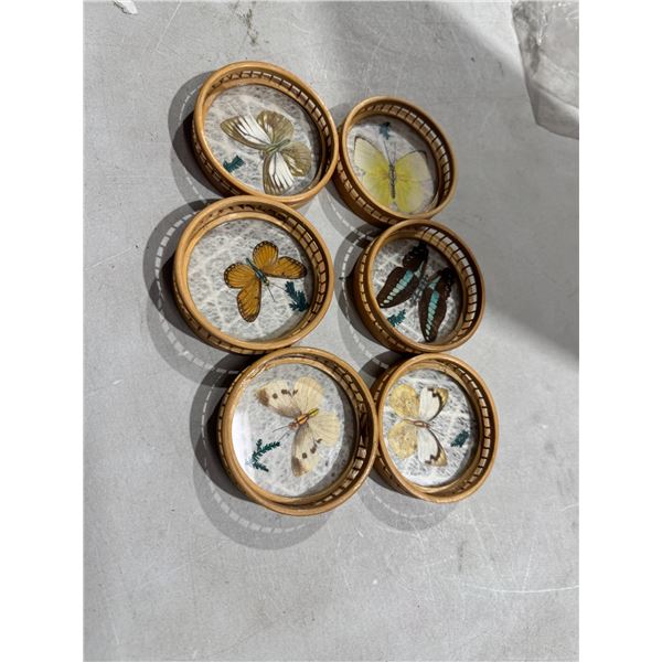 Vintage butterfly coasters